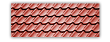 Coral Red