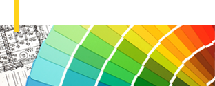 Color Palette